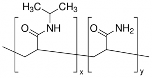 Poly(N-isopropylacrylamide-co-acrylamide) 738727-5G