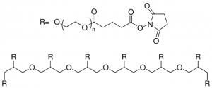 8arm-PEG10K-Succinimidyl Glutarate JKA8013-1G
