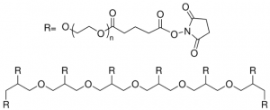 8arm-PEG40K-Succinimidyl Glutarate JKA8023-1G