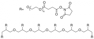 8arm-PEG40K-Succinimidyl Succinate JKA8021-1G