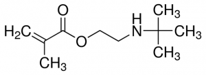 2-(tert-Butylamino)ethyl methacrylate 