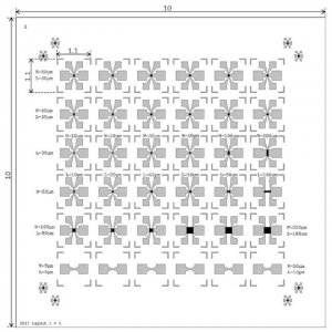 Graphene FET chip GRFETS10-1EA