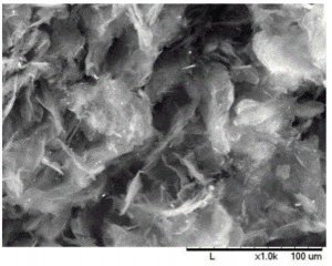 Graphene nanoplatelets 806668-25G