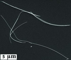 Gold nanowires 716944-10ML