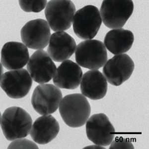 Silver nanospheres 796425-25ML