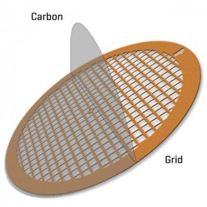 Carbon Film Supported Gold Square Mesh TEM-CF300AU