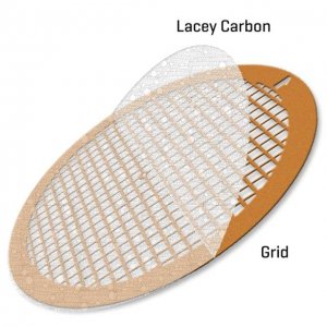 Ultrathin Lacey Carbon Supported Gold Grid TEM-LC400AUUL