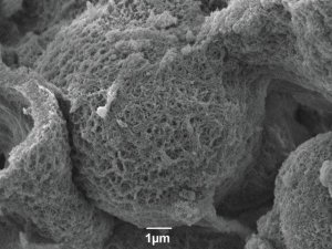 Carbon, mesoporous 702110-5G