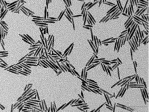 CdSe/CdS core-shell type quantum rods 900514-1ML