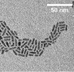 CdSe/CdS core-shell type quantum rods 900511-1ML