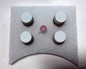 BL21(DE3) Electrocompetent Cells 