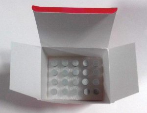 OverExpress� C43(DE3) pLysS Chemically Competent Cells CMC0020-20X40UL