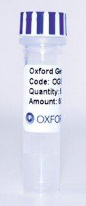 pSF-TAC-NH2-OmpA-COOH-FLAG OGS635-5UG