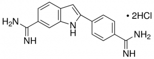 DAPI ready made solution 