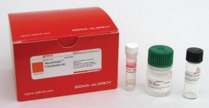 NeuroPorter� Transfection Kit 