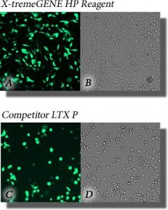 X-tremeGENE� HP DNA Transfection Reagent 