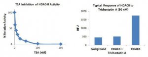 Histone Deacetylase 8 (HDAC8) Inhibitor Screening Kit EPI007-1KT