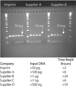 Imprint� DNA Modification Kit 