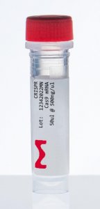 Cas9 mRNA 