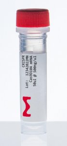 Cas9 mRNA 