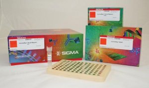 MISSION� ExpressMag� 96-Well Magnetic Kit SHM02-1KT
