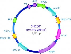 MISSION� pLKO.1-puro Empty Vector Control Transduction Particles SHC001V