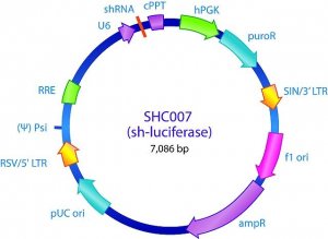 MISSION� pLKO.1-puro Luciferase shRNA Control Plasmid DNA SHC007