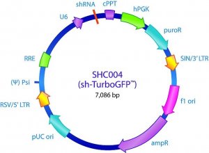MISSION� pLKO.1-puro TurboGFP� shRNA Control Transduction Particles SHC004V