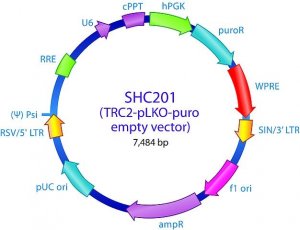 MISSION� TRC2 pLKO.5-puro Empty Vector Control Transduction Particles puro SHC201V
