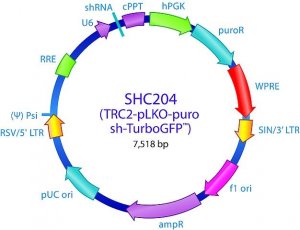 MISSION� TRC2 pLKO.5-puro TurboGFP� shRNA Control Plasmid DNA SHC204