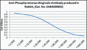 Anti-Porphyromonas gingivalis antibody produced in rabbit 