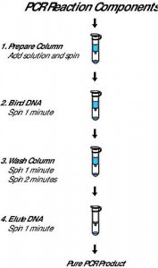 GenElute� PCR Clean-Up Kit NA1020-1KT