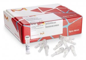 GenElute�-E Single Spin DNA Cleanup Kit 