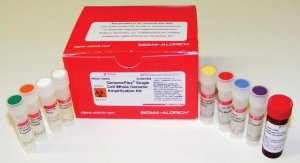 GenomePlex� Single Cell Whole Genome Amplification Kit 