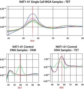 GenomePlex� Single Cell Whole Genome Amplification Kit 