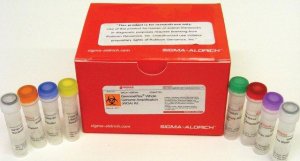 GenomePlex� Whole Genome Amplification (WGA) Kit WGA1-50RXN