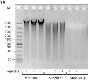 Microbiome DNA Purification Kit MBD5000-1KT