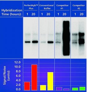 PerfectHyb� Plus Hybridization Buffer 