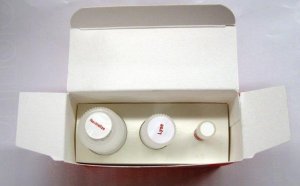 Extract-N-Amp� Blood PCR Kit XNAB2-1KT