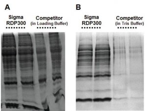 GenElute� RNA/DNA/Protein Purification Plus Kit RDP300-50RXN