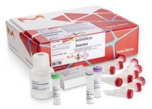 GenElute�-E Single Spin Blood DNA High Yield Kit 