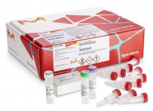 GenElute�-E Single Spin Blood DNA Kit 