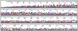 REDExtract-N-Amp� Blood PCR Kit XNABR-1KT