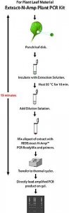 REDExtract-N-Amp� Plant PCR Kit XNAPS-1KT