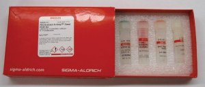 REDExtract-N-Amp� Seed PCR Kit XNASS-1KT