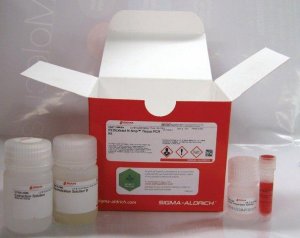 REDExtract-N-Amp� Tissue PCR Kit 