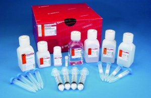 GenElute� HP Plasmid Maxiprep Kit NA0300S-1KT