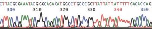 GenElute� HP Plasmid Midiprep Kit NA0200-1KT