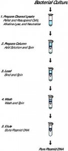 GenElute� Plasmid Miniprep Kit PLN350-1KT