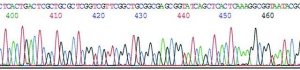 GenElute� Plasmid Miniprep Kit PLN350-1KT